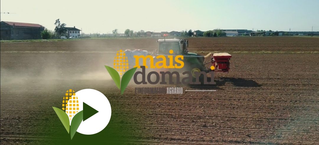 Presentazione Mais Domani