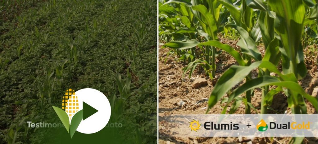 Le strategie di diserbo Syngenta