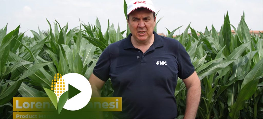 MD Diserbo e difesa FMC 2023